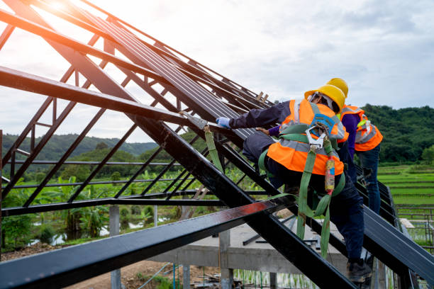 Best Roof Gutter Cleaning  in Geneva, IN